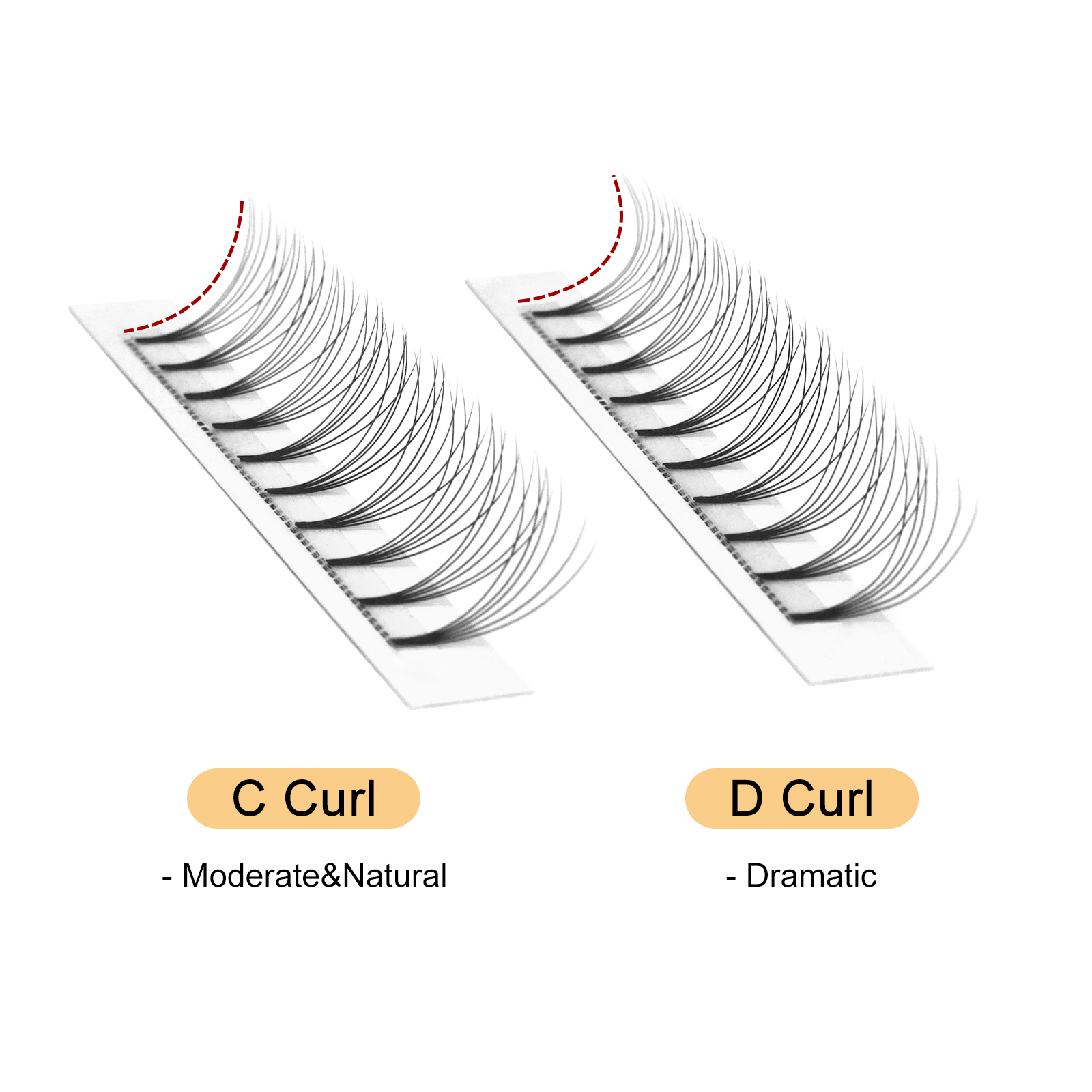 Quewel готовые веерные ресницы – обзор и цена Individual Lash Tray
